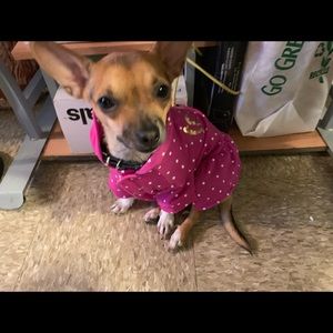 Meet your Posher, Gail